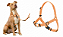 Peitoral Cães Smooth Ride Anti Puxão Ajustável Conforto Premium - Imagem 6