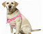 Peitoral Easy para Cães – Ajustável - Imagem 3