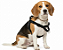 Peitoral Easy para Cães – Ajustável - Imagem 7