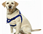 Peitoral Easy para Cães – Ajustável - Imagem 5