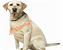 Peitoral Easy para Cães – Ajustável - Imagem 2
