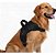 Peitoral Premium Para Cães - Tamanho G - Imagem 19