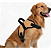 Peitoral Premium Para Cães - Tamanho G - Imagem 3