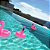 Kit 6 Bóias de Piscina Porta Copo - Flamingo - Imagem 3