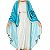 Imagem Nossa Senhora das Graças 32cm | Resina - Imagem 3