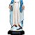 Imagem Nossa Senhora das Graças 65cm c/ Auréola Folheada | Resina - Imagem 4