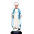 Imagem Nossa Senhora das Graças 65cm c/ Auréola Folheada | Resina - Imagem 1