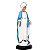 Imagem Nossa Senhora das Graças 65cm c/ Auréola Folheada | Resina - Imagem 5