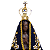 Imagem Nossa Senhora Aparecida 25cm | Resina - Imagem 2