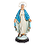Imagem Nossa Senhora das Graças 130cm c/ Olhos de Vidro | Resina - Imagem 1
