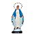 Imagem Nossa Senhora das Graças 105cm Resina - Imagem 1