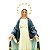 Imagem Nossa Senhora das Graças 82cm C/ Olhos de Vidro | Resina - Imagem 2