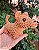 Cachorrinhos Amigurumi Caramelo ou Salsicha Chenille - Imagem 5
