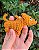 Cachorrinhos Amigurumi Caramelo ou Salsicha Chaveiro - Imagem 5