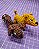 Cachorrinhos Amigurumi Caramelo ou Salsicha Chaveiro - Imagem 1