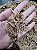 Folhas de Dryopteris 20g - Imagem 2
