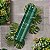 Body Spray Desodorante Arbo Botanic - 100ml - Imagem 3