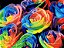 Pintura Numerada Flores Coloridas Tecido Pincéis e Tintas E112 - Imagem 1