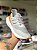 Ultraboost Cinza e Laranja - Imagem 2