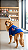 ROUPA DE PET CACHORRO GATO - STITCH / ANGEL - Imagem 9