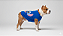 ROUPA DE PET CACHORRO GATO - STITCH / ANGEL - Imagem 10