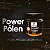 Power Pólen - 120g – Apis Vida - Imagem 3