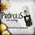 Extrato De Própolis Em Spray Mel, Menta, Malva E Gengibre - 30ml – Apis Vida - Imagem 2