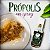 Extrato De Própolis Em Spray Mel, Menta, Malva E Gengibre - 30ml – Apis Vida - Imagem 3