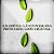 Extrato De Própolis Em Spray Mel, Menta, Malva E Gengibre - 30ml – Apis Vida - Imagem 5