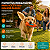Brinquedo Interativo para Cachorro com Luz LED Bola Pet Laranja - Imagem 2