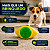 Brinquedo Interativo para Cachorro com Luz LED Bola Pet para Buscar - Imagem 3