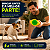 Brinquedo Interativo para Cachorro com Luz LED Bola Pet para Buscar - Imagem 2