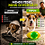 Brinquedo Interativo para Cachorro com Luz LED Bola Pet para Buscar - Imagem 6