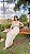Vestido Diana Bicolor Bege - Imagem 4