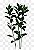 Buquê de Flores Lumiere - Imagem 7