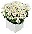 Buquê de Flores Daisy Flowers - Imagem 1