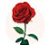Buquê de 10 Rosas Vermelhas - Imagem 2