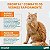 DRONTAL GATOS VERMÍFUGO - 4 COMPRIMIDOS - Imagem 4