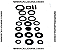 Kit de Retentores Motor, Cambio, Diferenciais, Rodas e Redução Niva (Novo) Ref. 0375 - Imagem 1