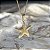 Colar Estrela do Mar - Imagem 1
