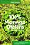 100% Moringa Oleífera - Alimento Estratégico Mundial - Imagem 1