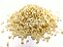 FARINHA PANKO GRANEL 100g - Imagem 1