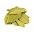 LOURO EM FOLHA GRANEL 100g - Imagem 1