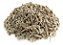 SALVIA DESIDRATADA GRANEL 100g - Imagem 1