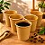 Copo Papel Kraft 110ml com 100 uni. Chá Café Biodegradável - Imagem 9