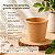 Copo Papel Kraft 110ml com 100 uni. Chá Café Biodegradável - Imagem 4