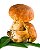 Lótus e Cogumelos - com porcini selvagem - flocos - 50g (produção limitada) - Imagem 3