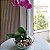 ARRANJO DE ORQUÍDEA PHALAENOPSIS - Imagem 2
