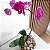 ARRANJO DE ORQUÍDEA PHALAENOPSIS - Imagem 3