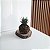 KOKEDAMA DE SUCULENTA HAWORTHIA FASCIATA PLANTA ZEBRA - Imagem 2